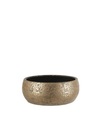 Gold Bowl Saksı XL